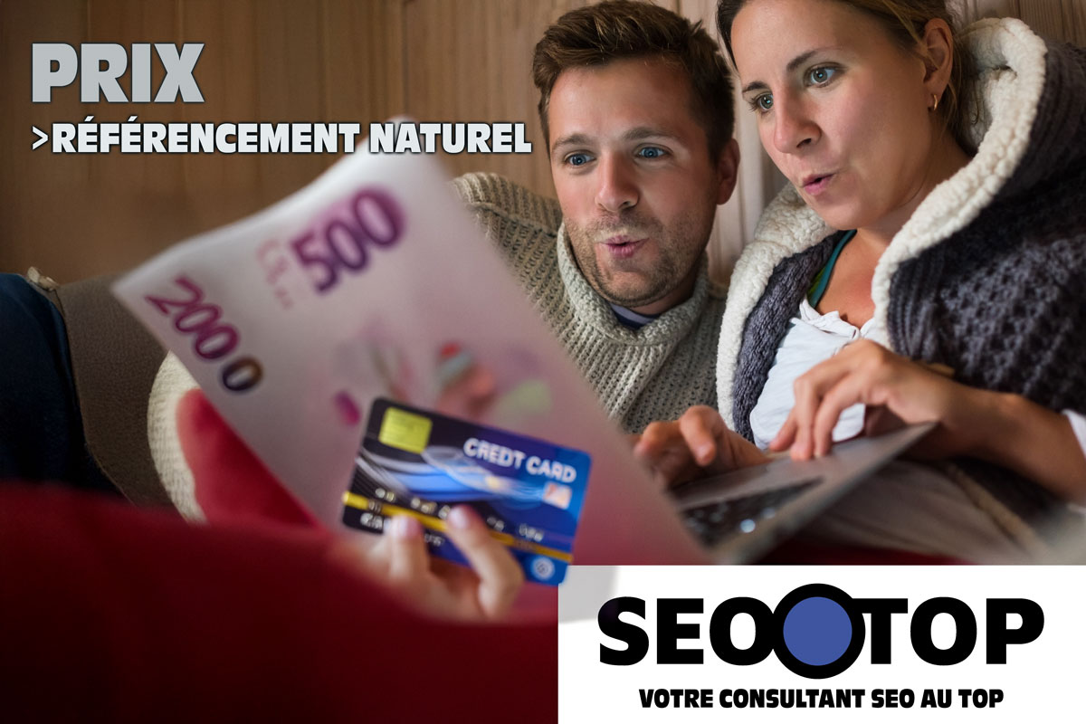 Prix référencement naturel avec Serge-Jérôme de SEOOTOP