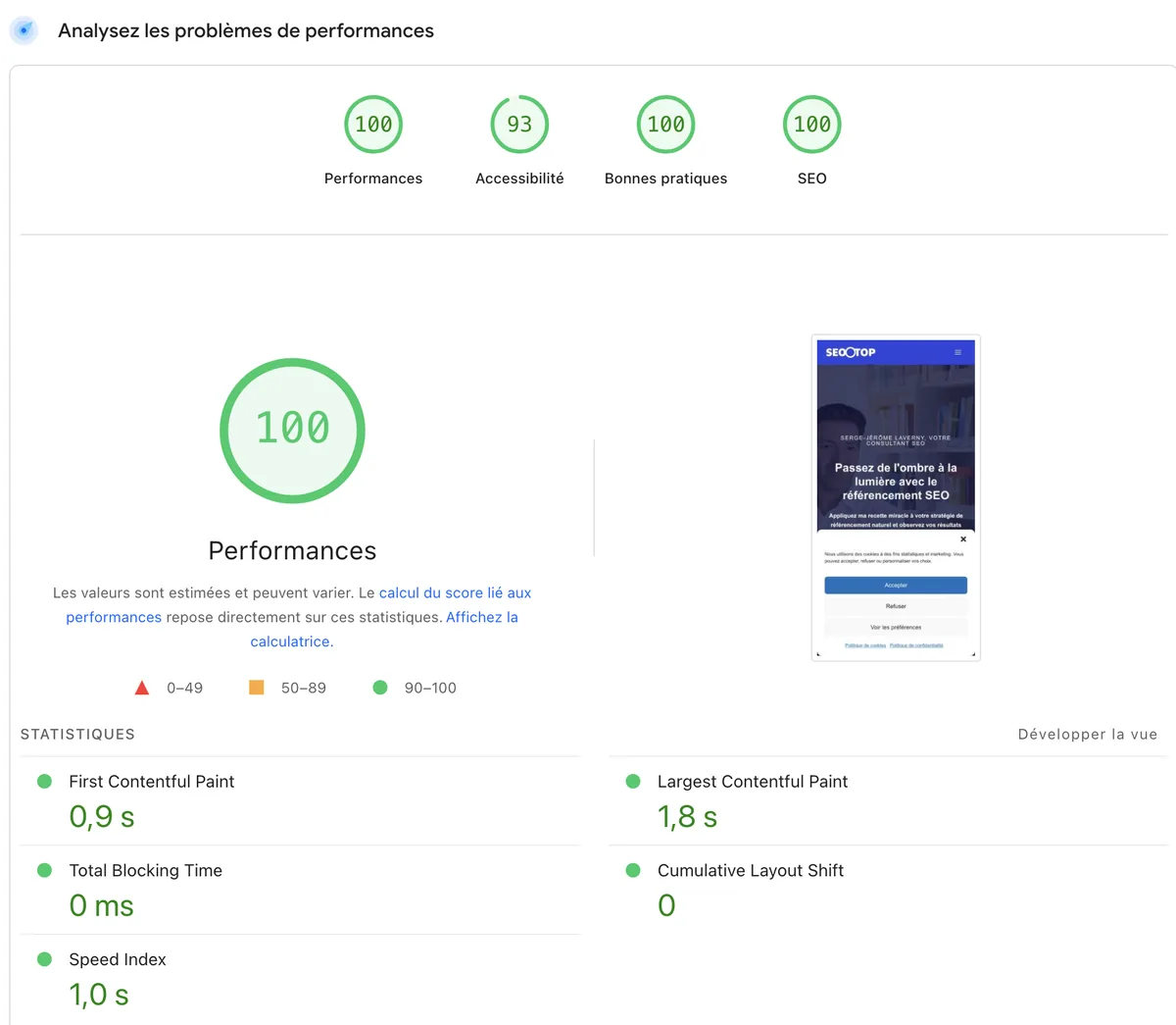 Rapport Google PageSpeed Insights mobile du site seootop.fr : 100 en performances, 93 en accessibilité, 100 en bonnes pratiques et 100 en SEO